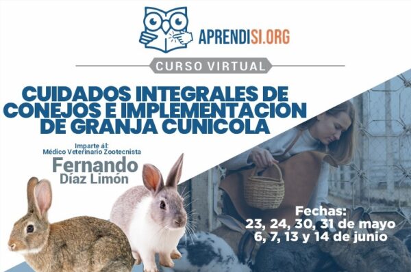 Curso Integral Crianza y Comercialización de Conejos 2024